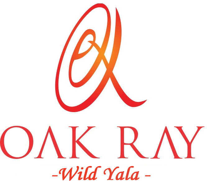 25% Savings on DBL/FB basis & 20% Savings on TPL/FB basis reservations